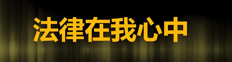 从胜诉到政府拒绝执行：一份判决执行十六年案件，儋州政府拒执的罪与非罪的拷问